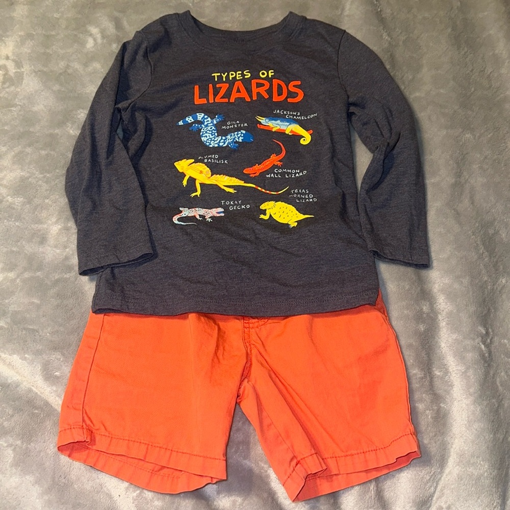 Cat and Jack long sleeve and shorts